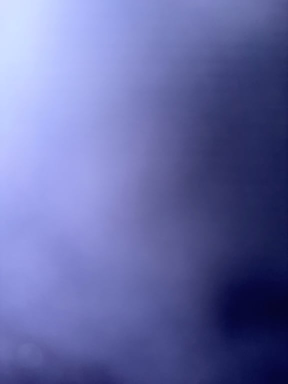 sophiehook67